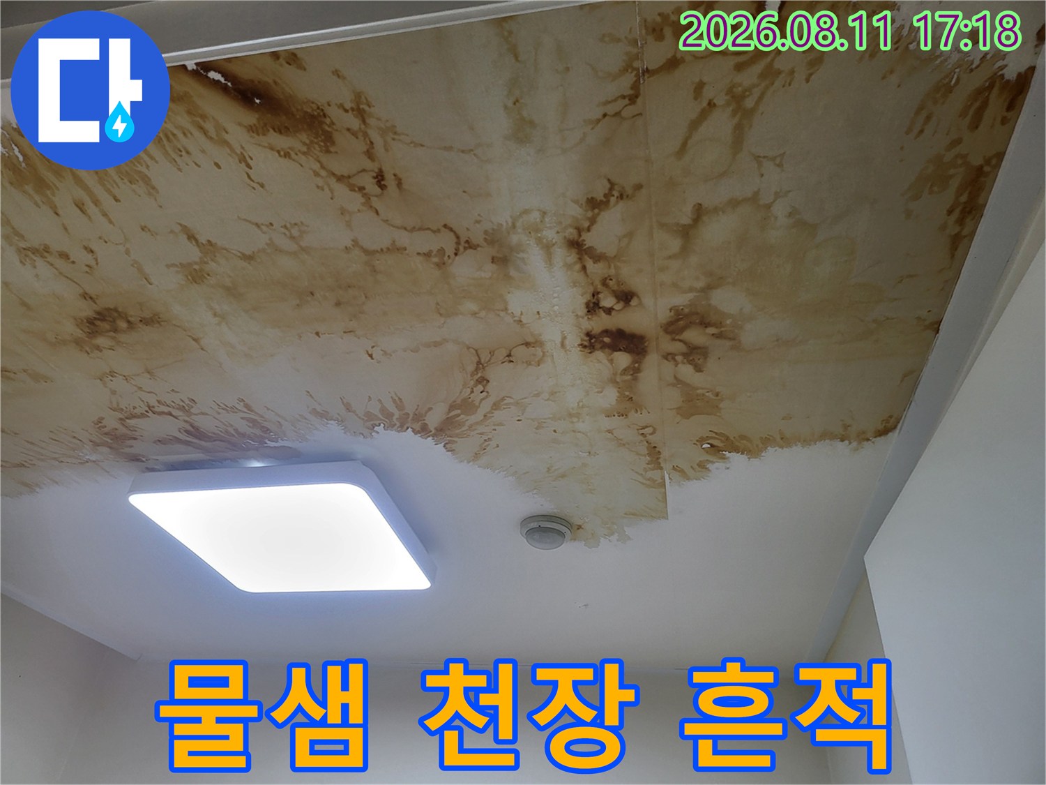 천장 면적의 상당 부분을 차지하는 갈색 누수 오염 부위