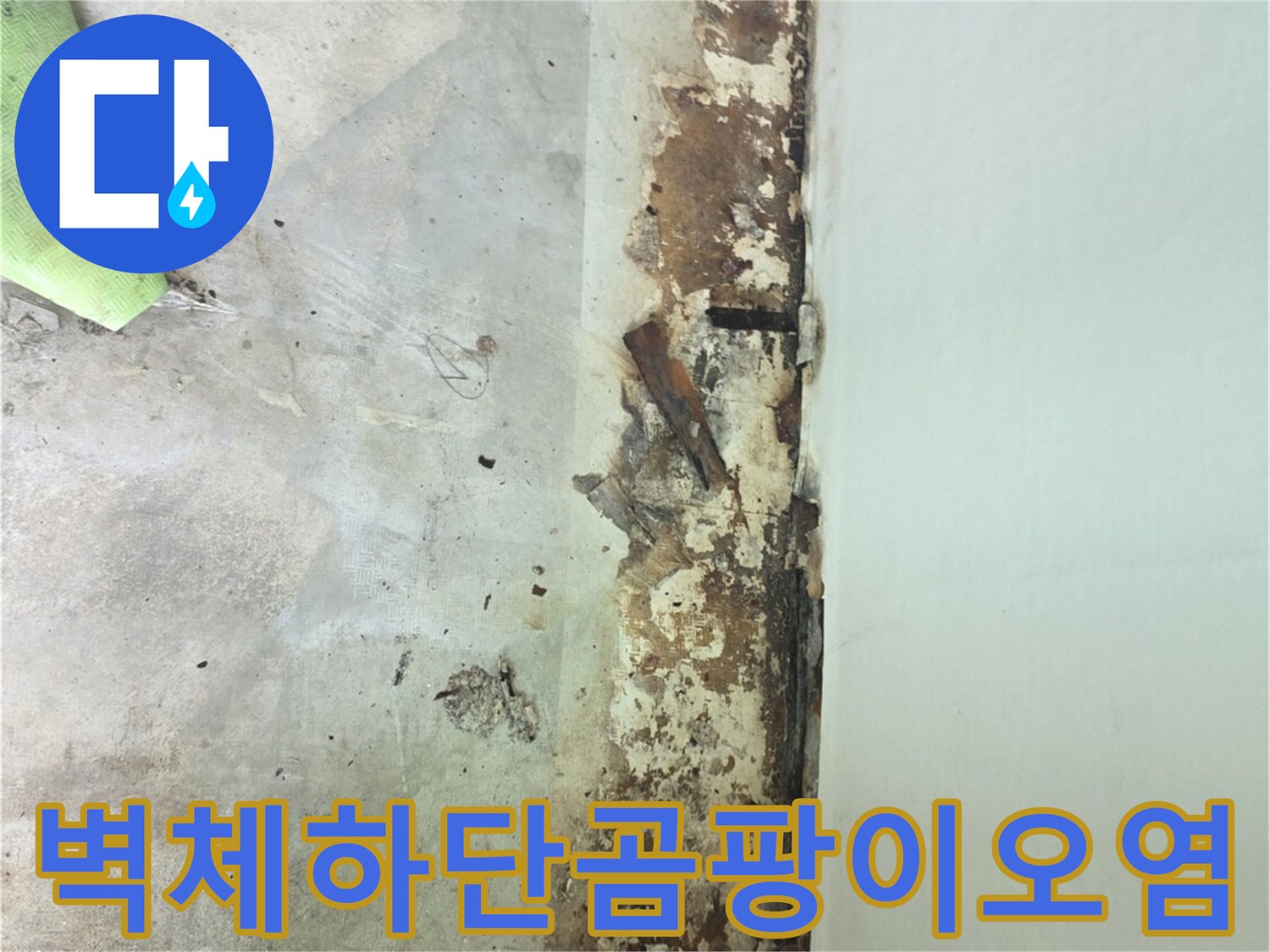 누수로-인해-갈색과-검은색으로-심하게-변색된-실내-벽면-하단부-사진