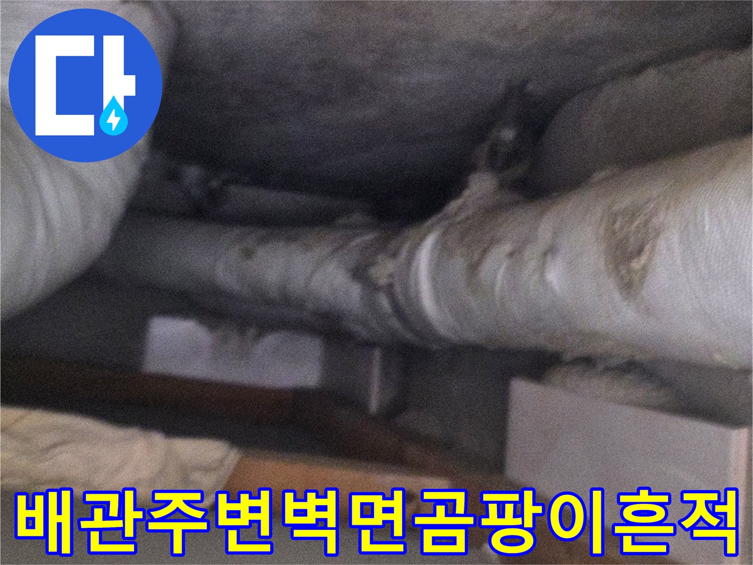 흰색-단열재가-씌워진-천장-배관과-그-주변의-어두운-물샘-자국