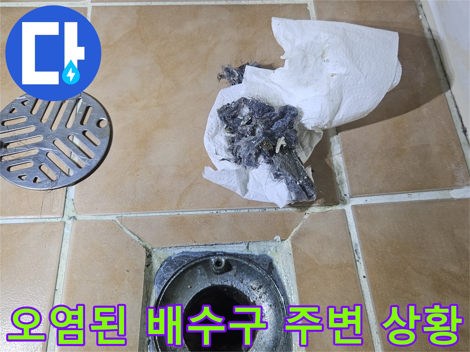 유가-주변에-쌓인-축축한-찌꺼기와-균열된-틈새