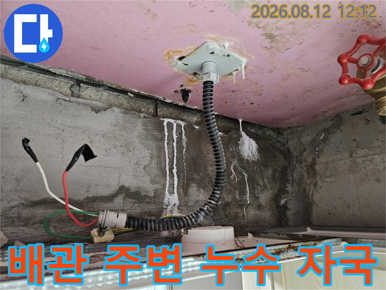 양주 옥정동-전선관 주변 천장 마감재에 나타난 누수 유입 흔적