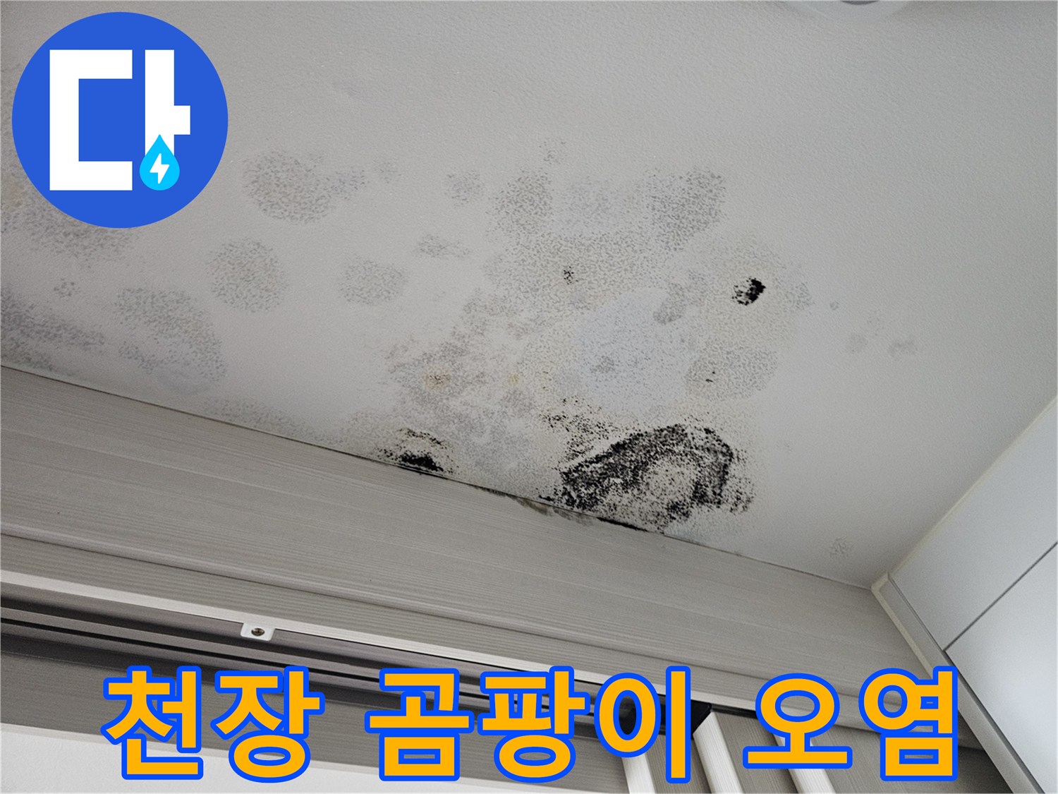 곰팡이가 발생한 아파트 현관 천장 마감재의 모습