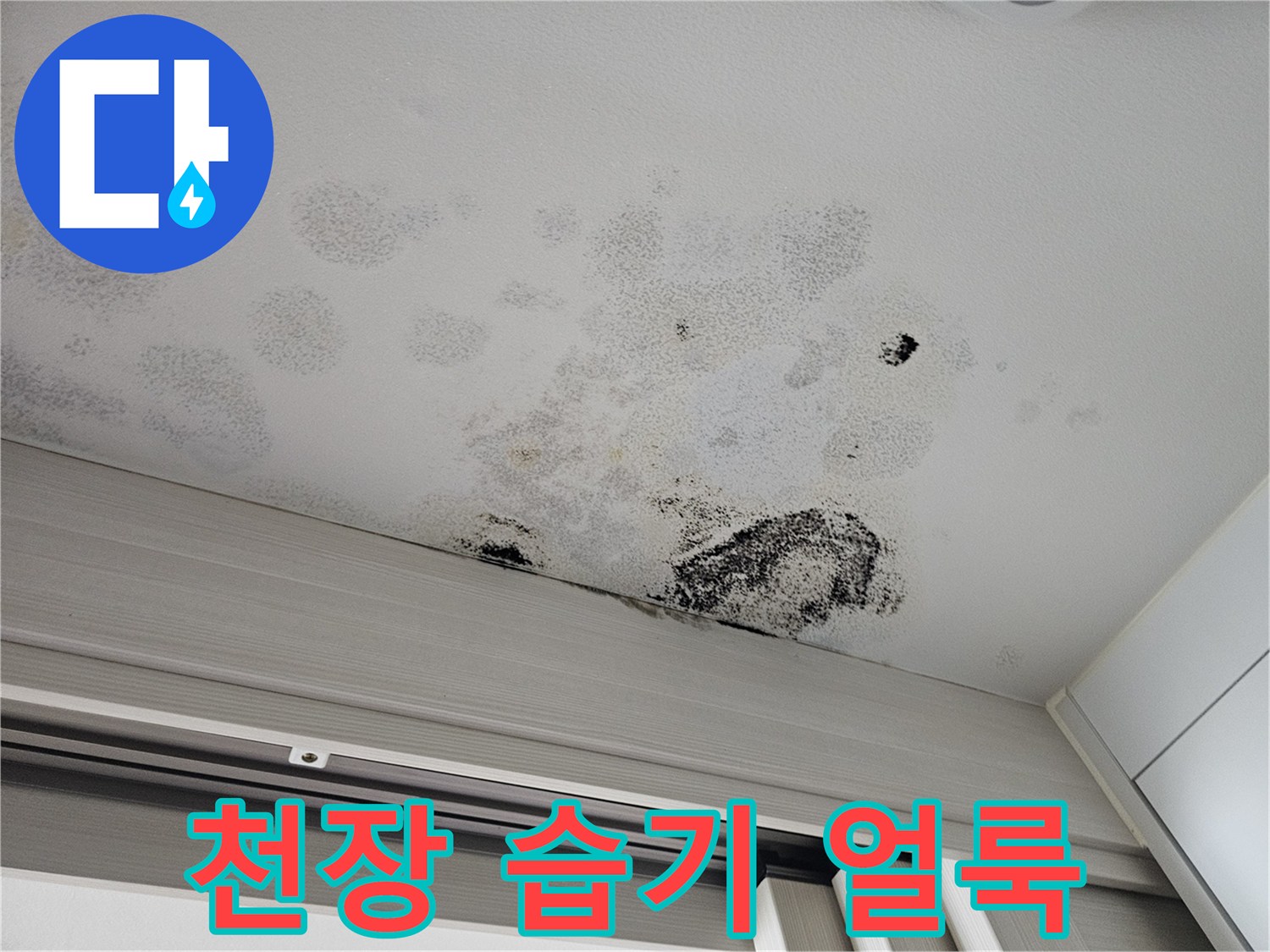 천장 도배지에 나타난 젖은 듯한 얼룩과 곰팡이 발생 부위