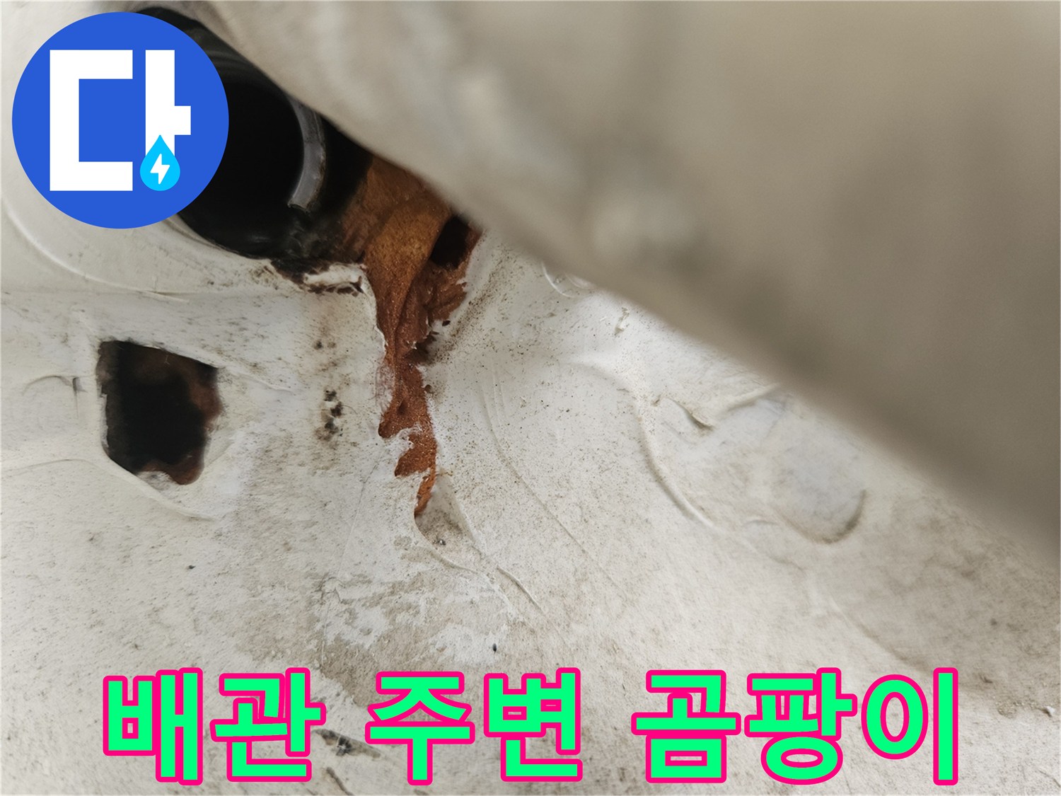 우수관 배관 하단에 발생한 갈색 오염과 곰팡이