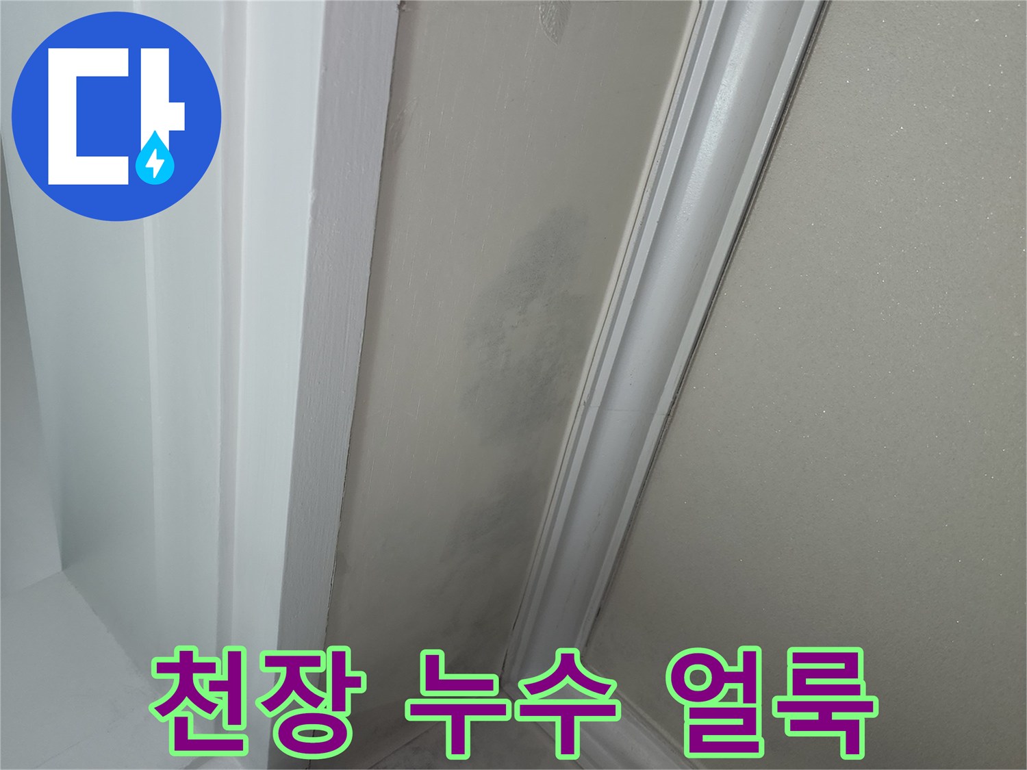 벽지 몰딩 경계에 나타난 짙은 물자국과 곰팡이