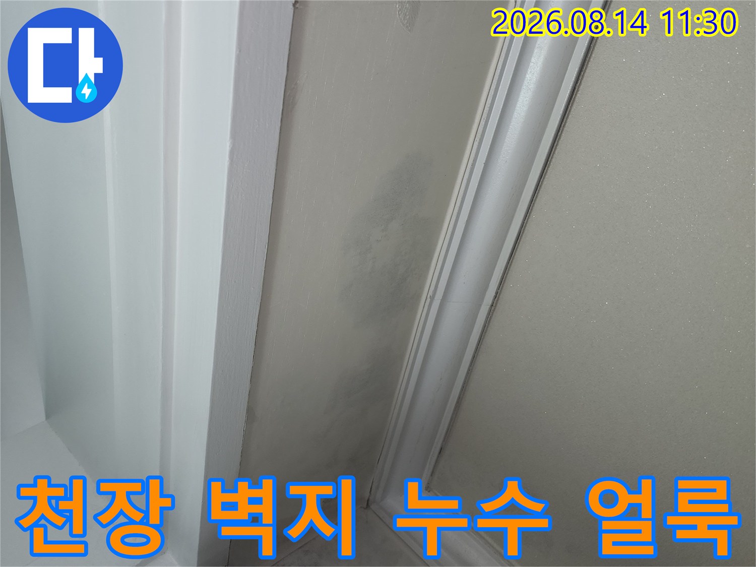 안양 아파트 천장 벽지 곳곳에 나타난 젖음 및 변색 현상