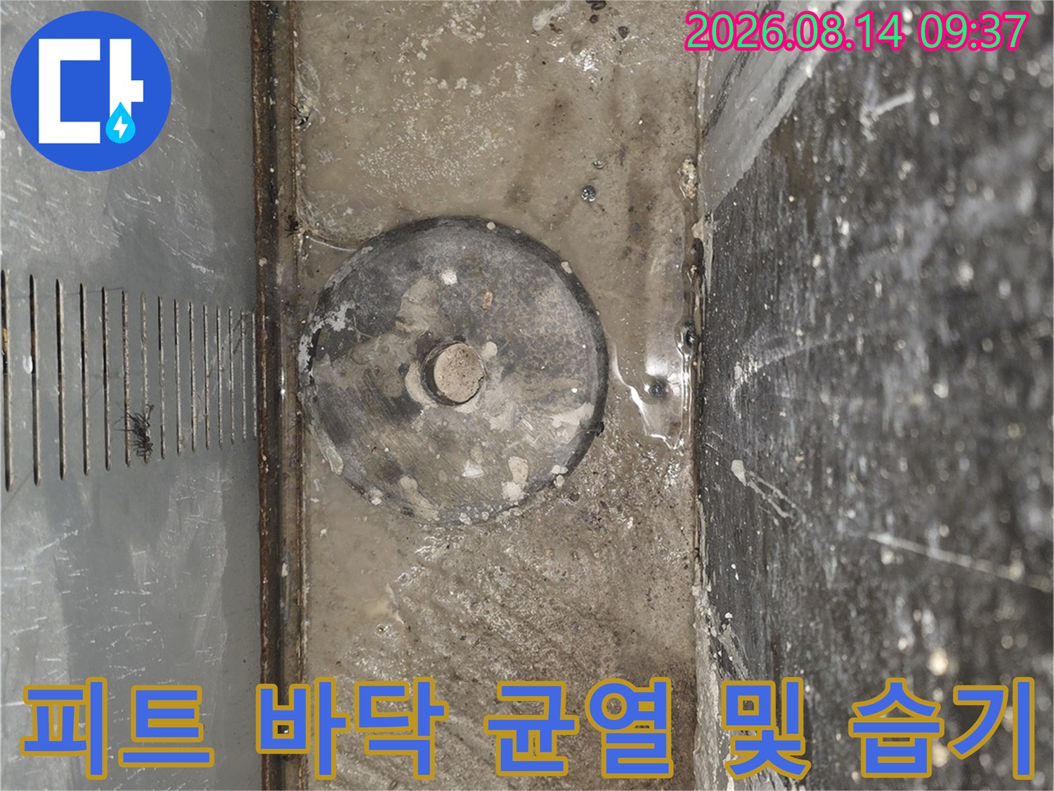 콘크리트-바닥면에-발견된-습기와-오염물질-상세-사진