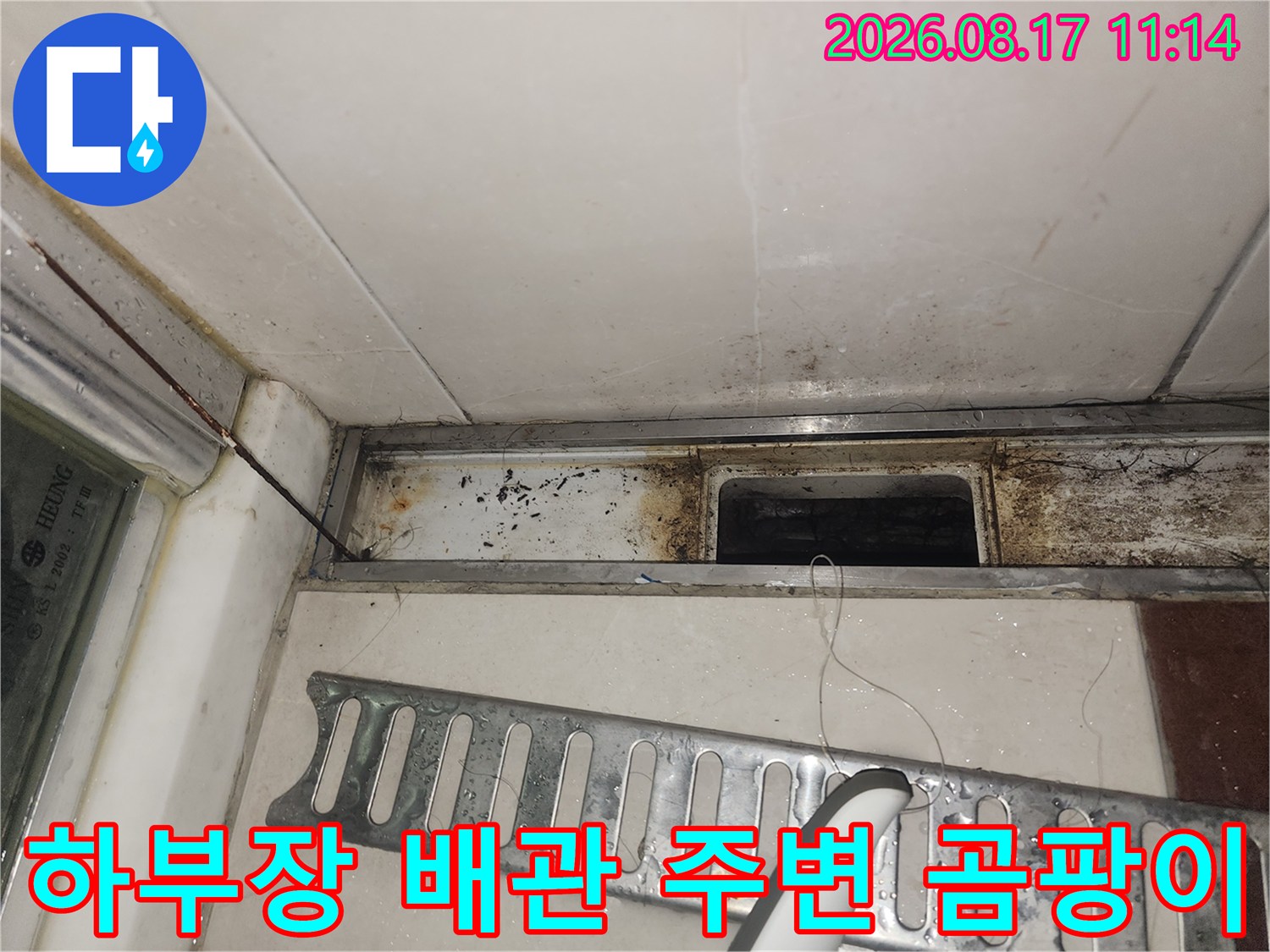 습기로 인해 검게 변한 싱크대 하부 마감재와 배관 부위