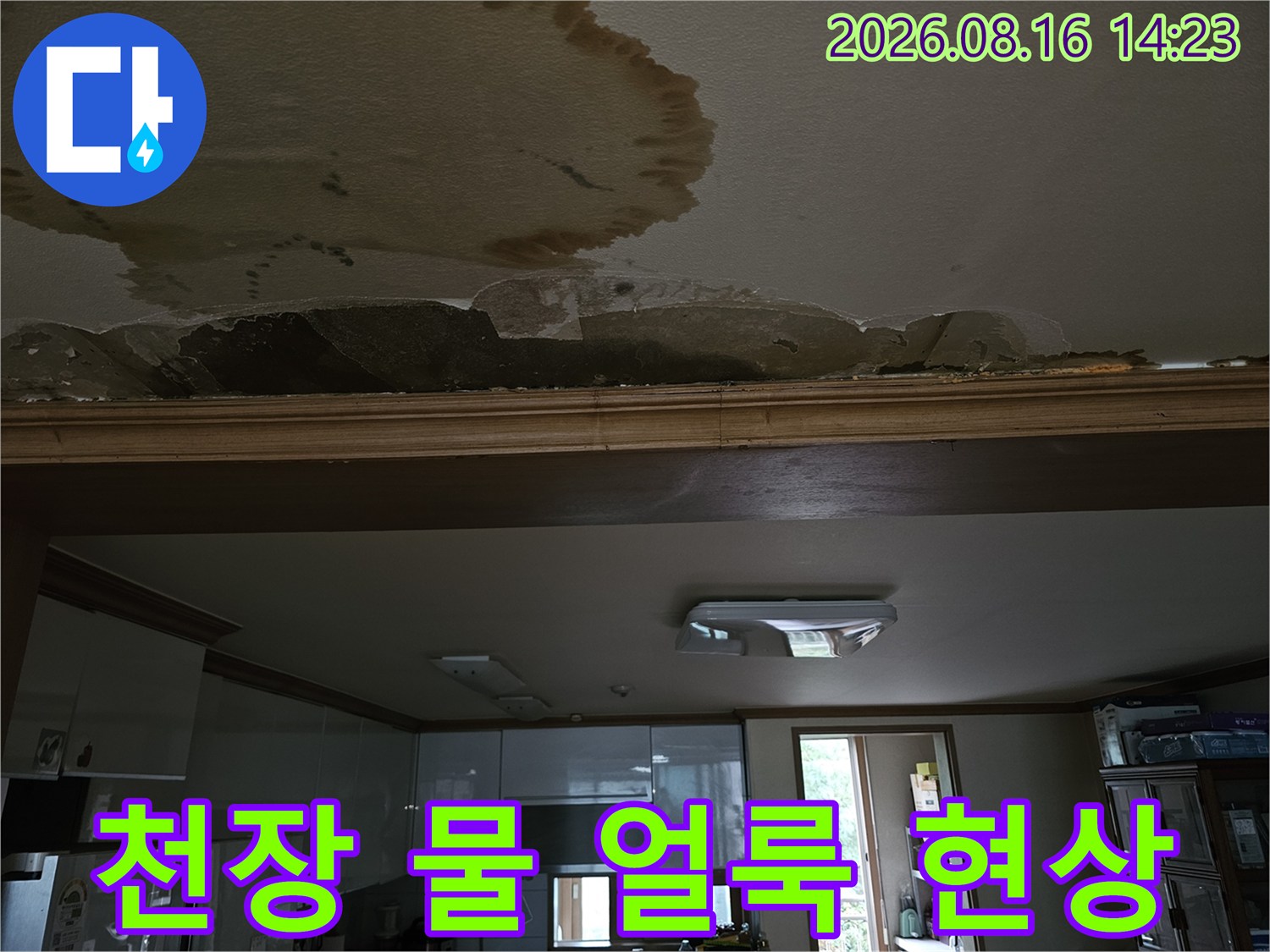 거실 천장 벽지에 형성된 누수 침투 흔적과 변색 부위