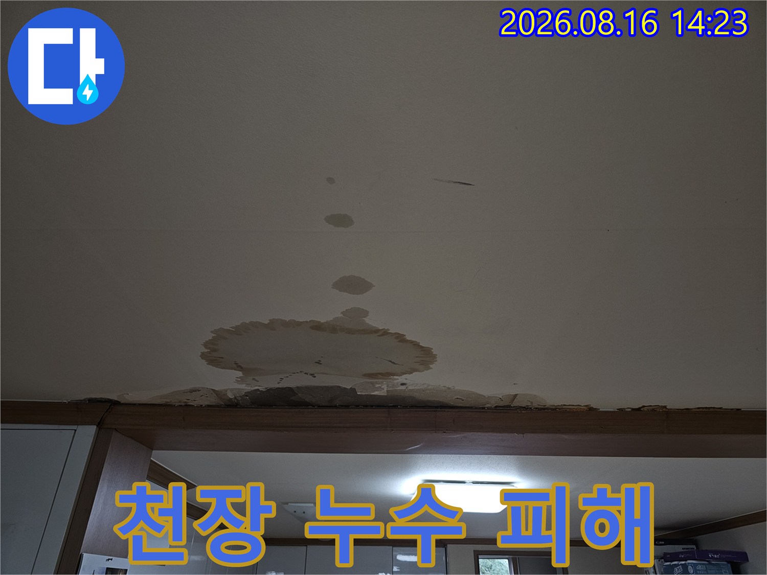 거실 천장에 광범위하게 발생한 누수 얼룩과 습기 자국