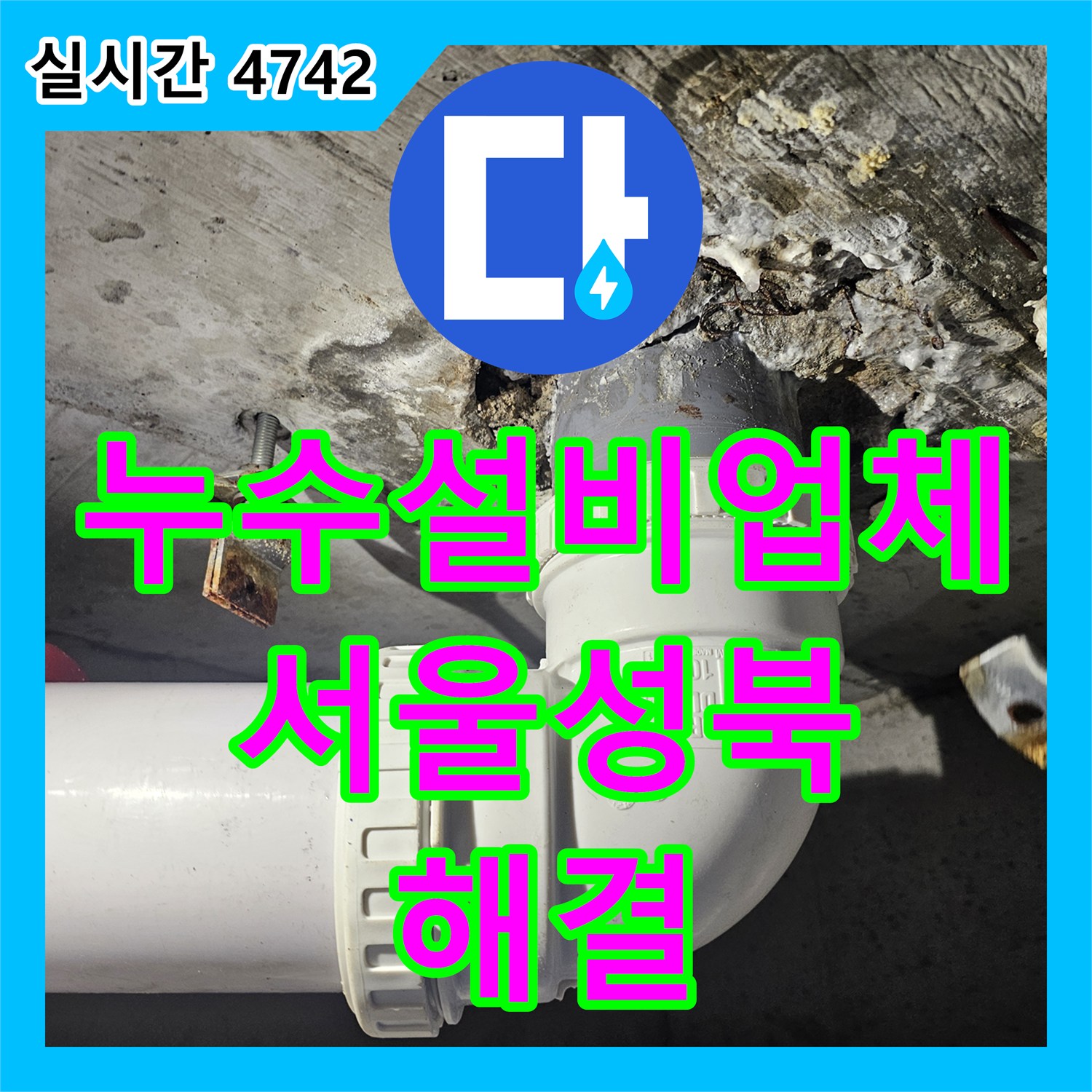 누수설비업체 거실 천장 흔적과 화장실 누수를 잡기 위해 하수관을 교체한 서울 성북구 돈암동 사례