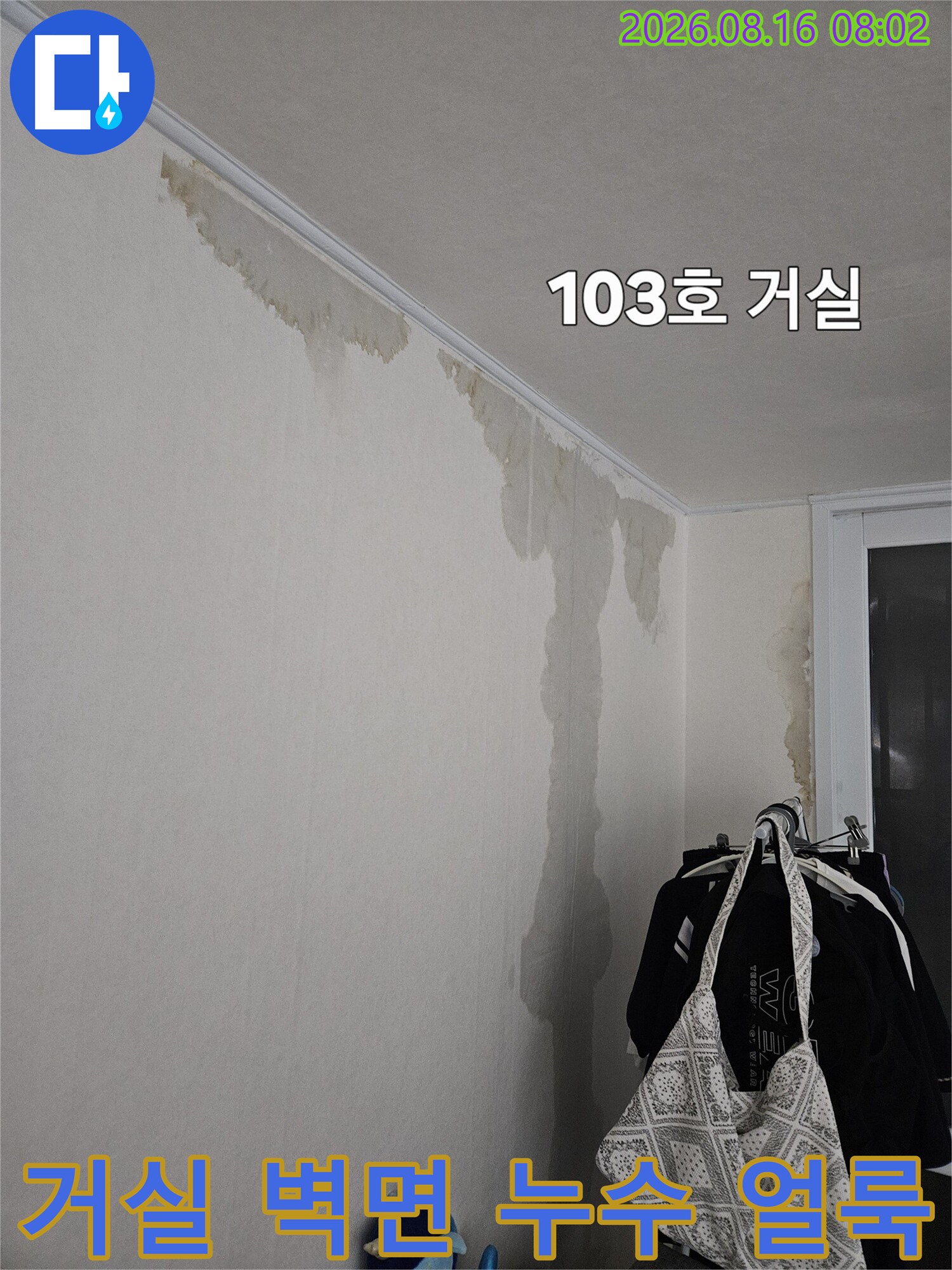 광명 철산동 아파트 거로실 벽면 천장 경계 부분에 발생한 누수 흔적과 변색된 벽지 상태