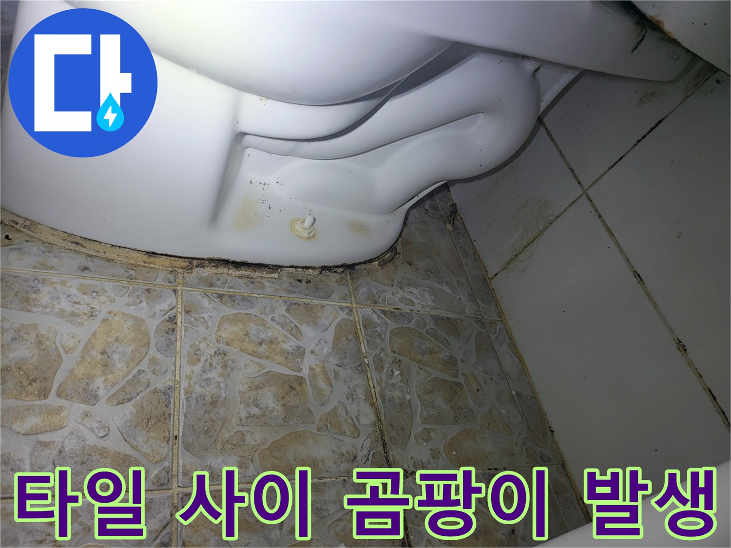 배관 주변 타일-줄눈 부위의 오염과 습기 상태