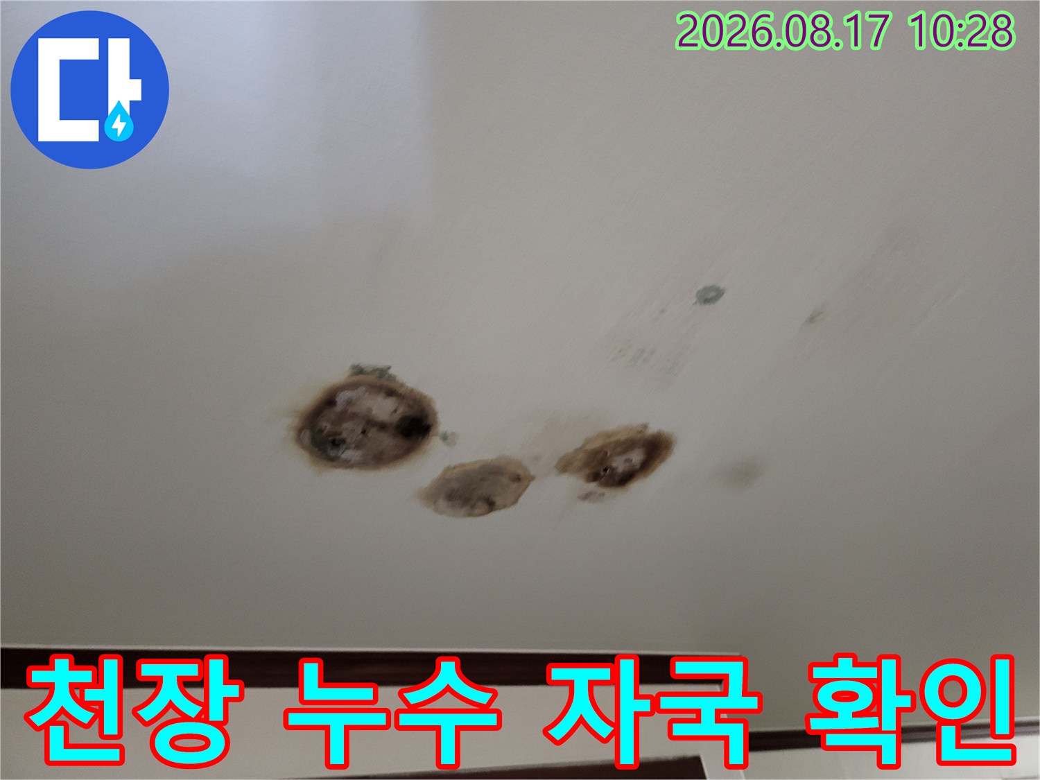 아랫집 천장에 발생한 여러 형태의 누수 얼룩 사진