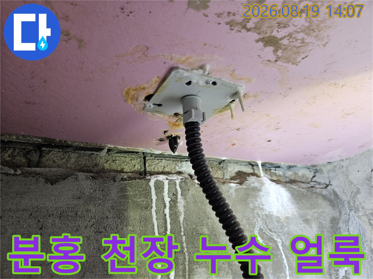 양주 옥정동 아파트-분홍색 도색 천장의 누수 얼룩과 배관 연결 부위