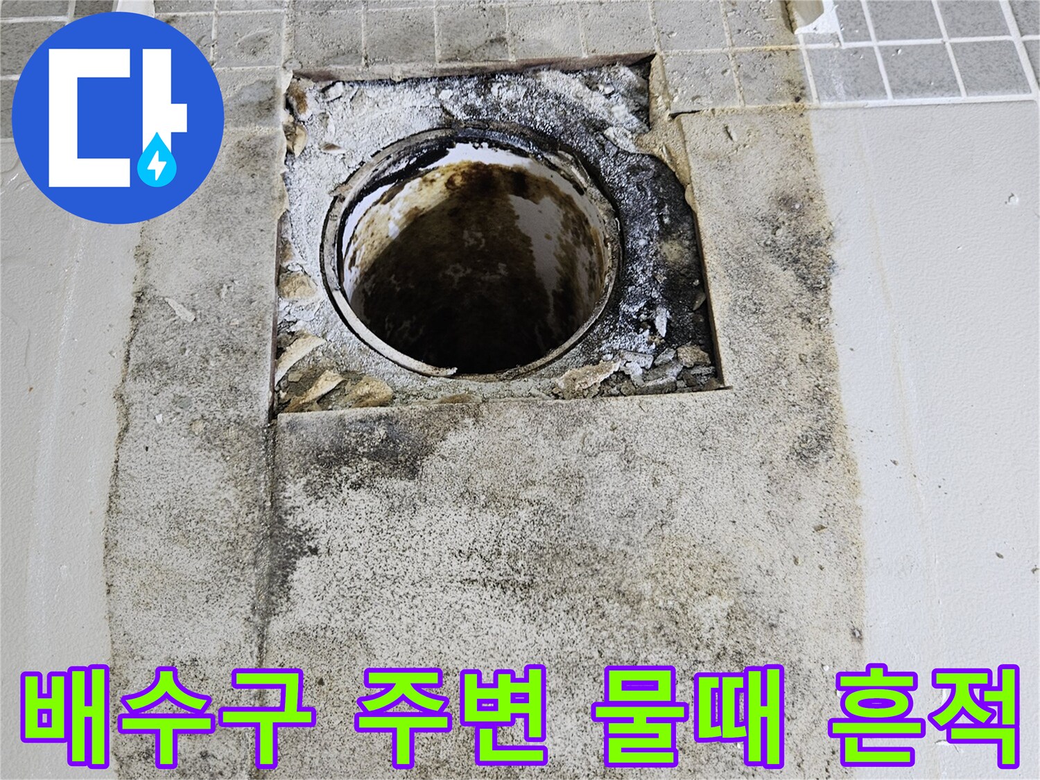 양주 옥정동 현장-배수구 배관 주변의 오염된 상태