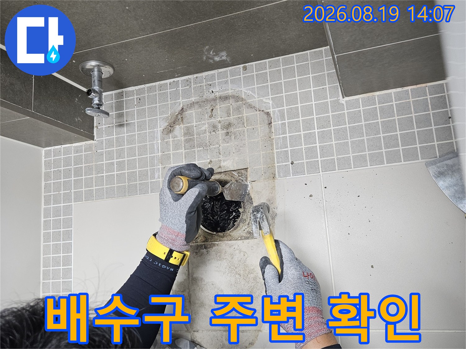 양주 옥정동 현장-화장실 배수구 주변 타일 철거 및 배관 상태 점검