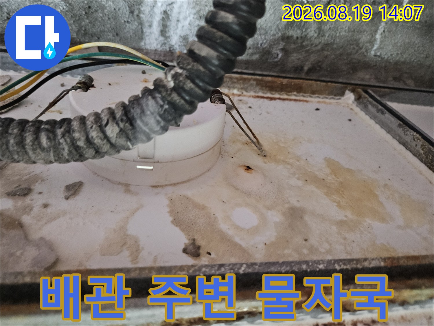 천장 배관 연결 부위의 습기 침투 및 얼룩 현상