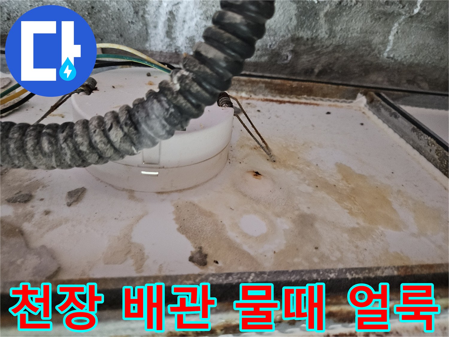 화장실 천장 내부-배관 주위의 누수 흔적과 변색된 부위