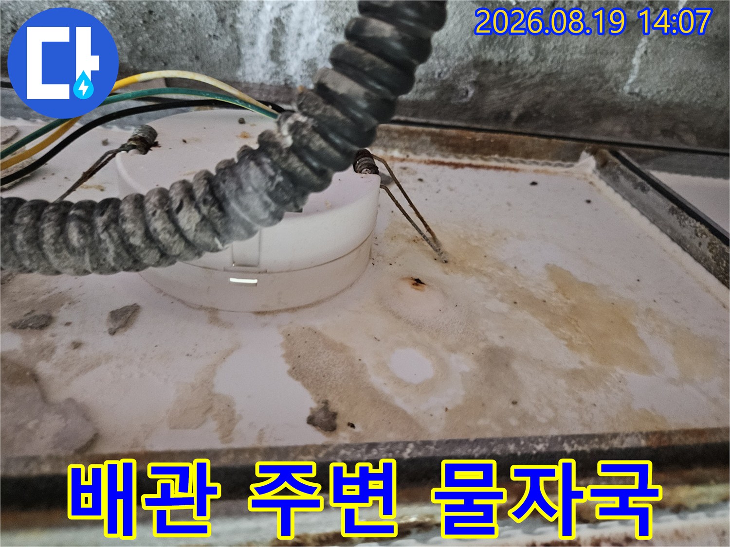 화장실 천장 배관-물기로 인해 변색된 천장 마감재와 배관 구조물