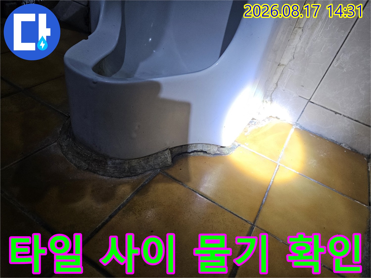 송파구 가락동-천장 타일 틈새의 습윤 상태 촬영