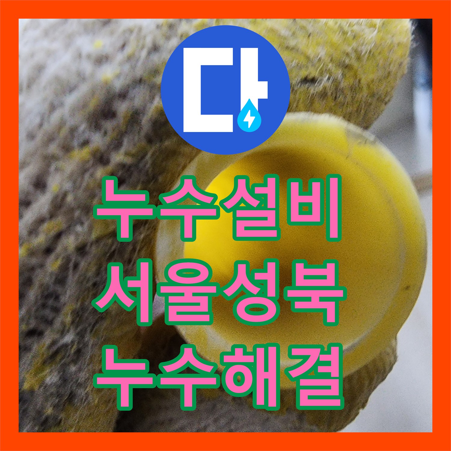 누수설비 세탁실 바닥 T자 분기점 배관 누수를 정밀하게 진단하고 교체한 서울 성북구 길음동 사례