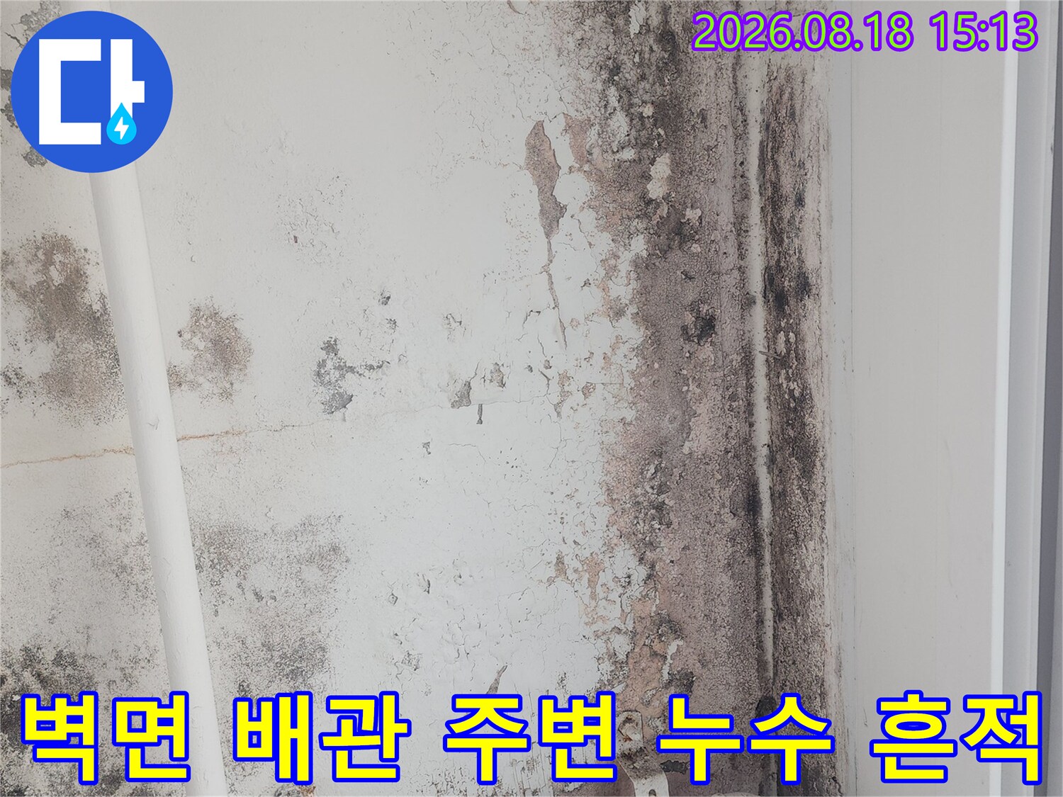 흰색 배관 주위로 넓게 퍼진 곰팡이와 습기 얼룩