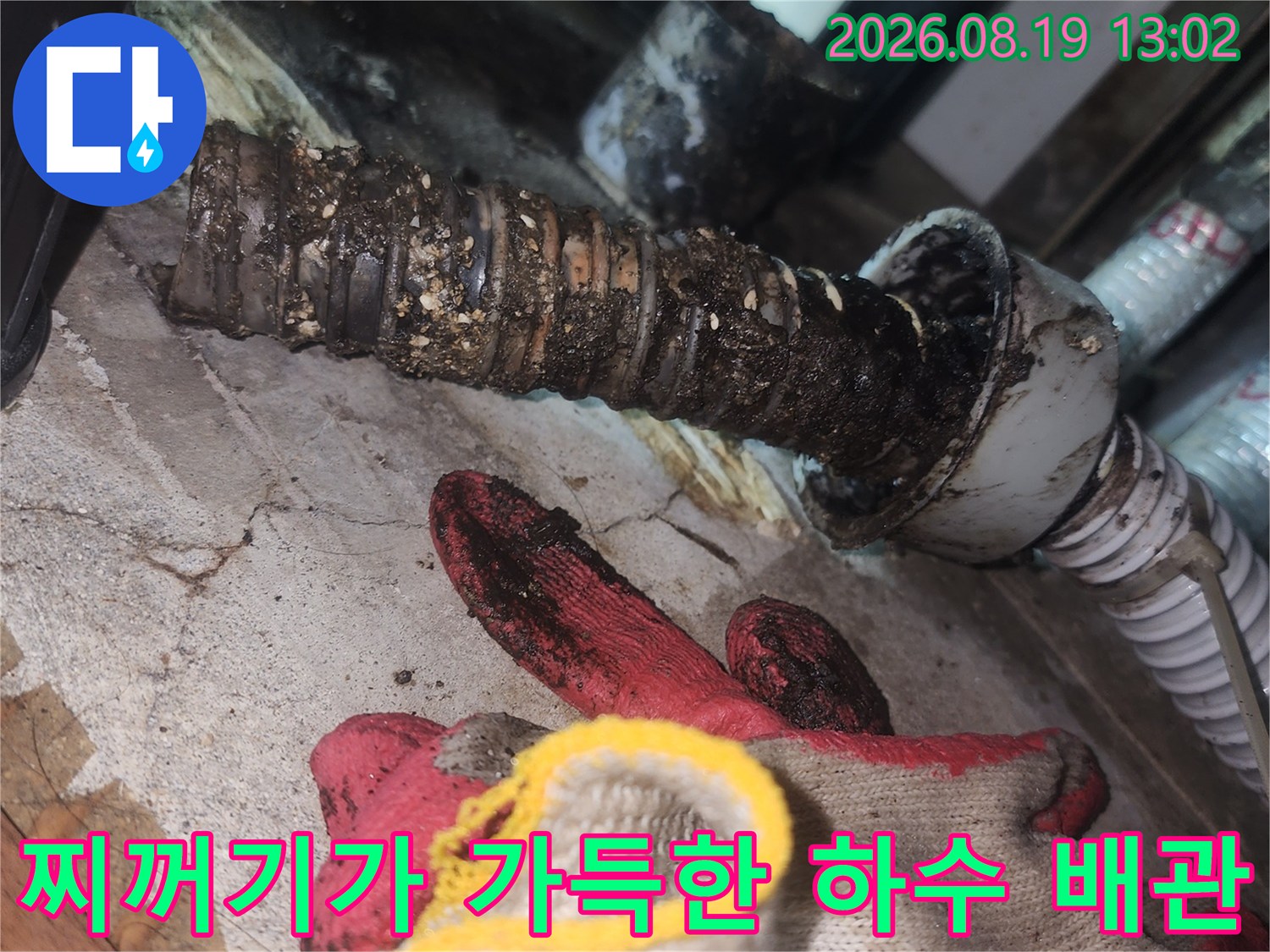 슬러지와 오염물질이 뭉쳐있는 싱크대 하부 배관