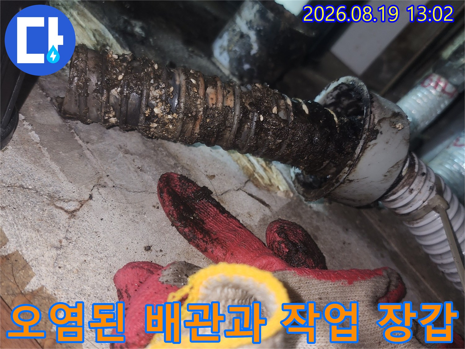 작업용 장갑 근처에 노출된 오염된 하수 배관의 모습