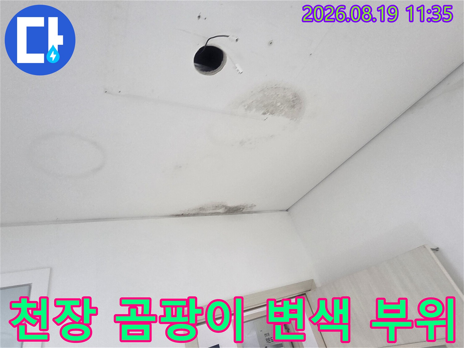 천장 조명 근처에 넓게 퍼진 곰팡이와 물자국 흔적