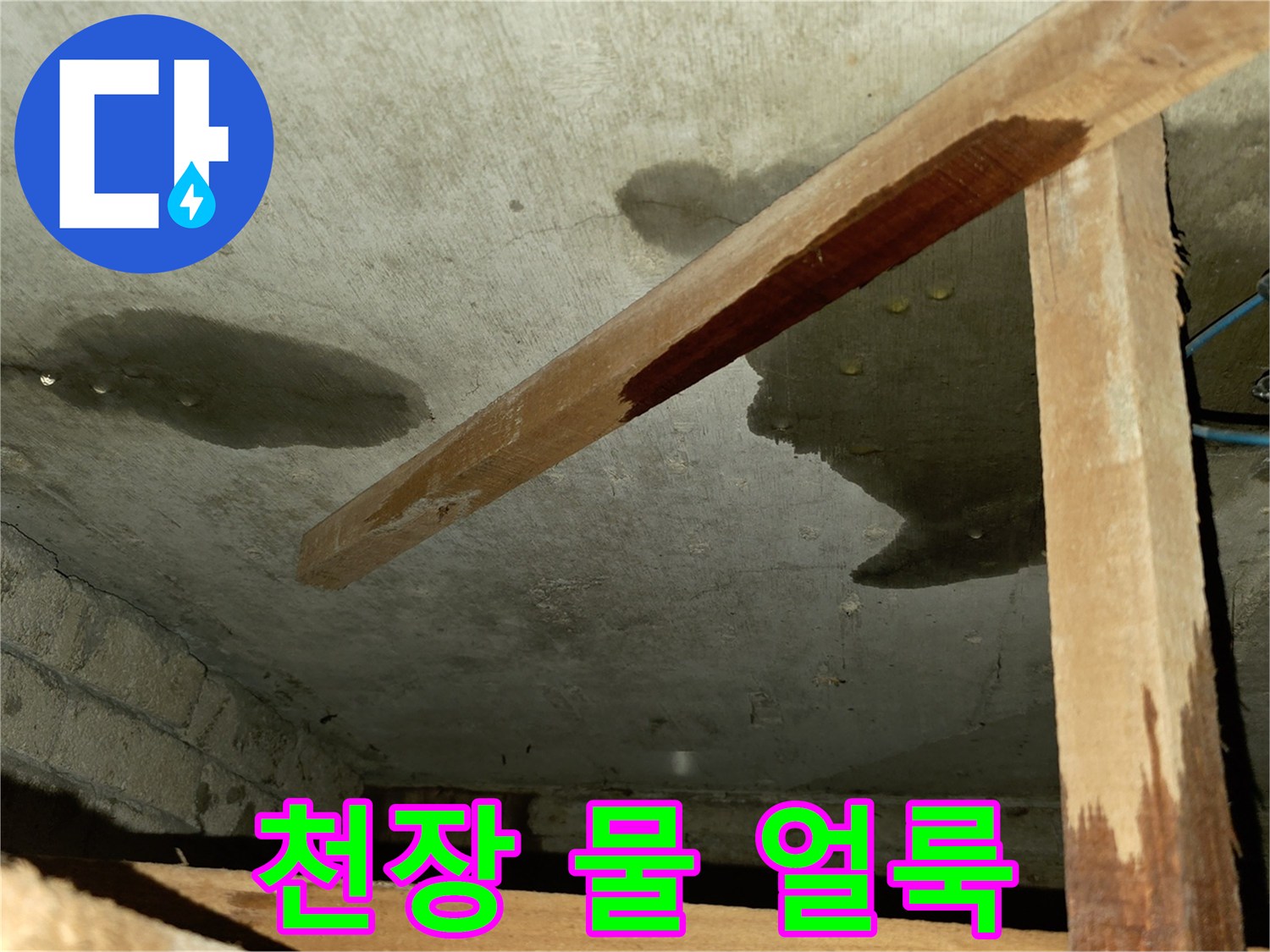 누수로 인한 변색-물에 젖어 검게 변한 천장 콘크리트 부위입니다.