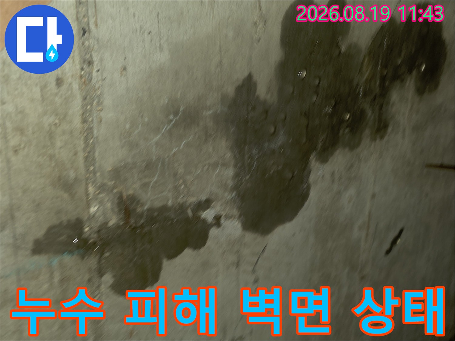 심하게 오염된 욕실 벽-물샘으로 인해 발생한 곰팡이와 습기 얼룩