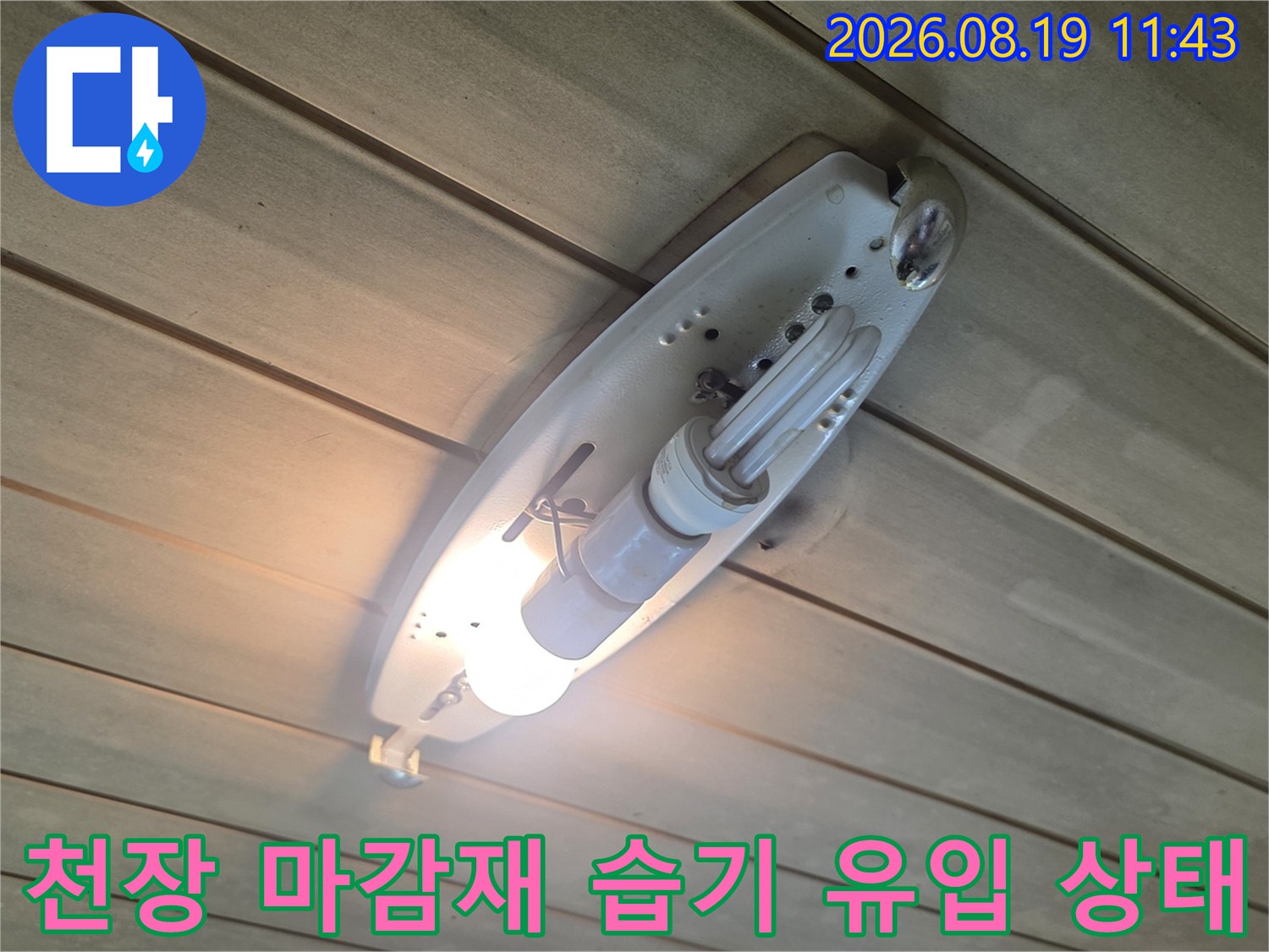 천장 텍스 패널-조명 주변의 습한 상태와 물기 흔적