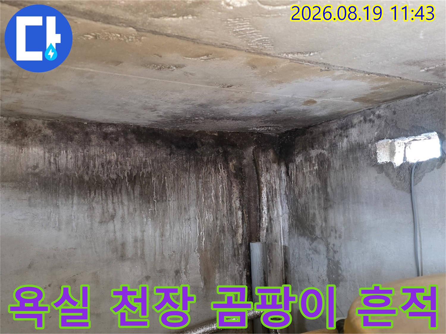 포천 신읍동 빌라-욕실 천장과 벽면에 발생한 심한 곰팡이와 누수 흔적