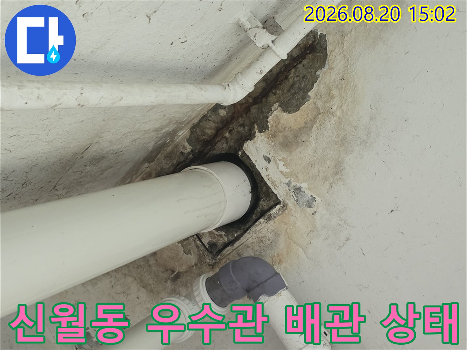 양천구 신월동 아파트 천장-우수관 및 하수배관 연결 부위 점검 중
