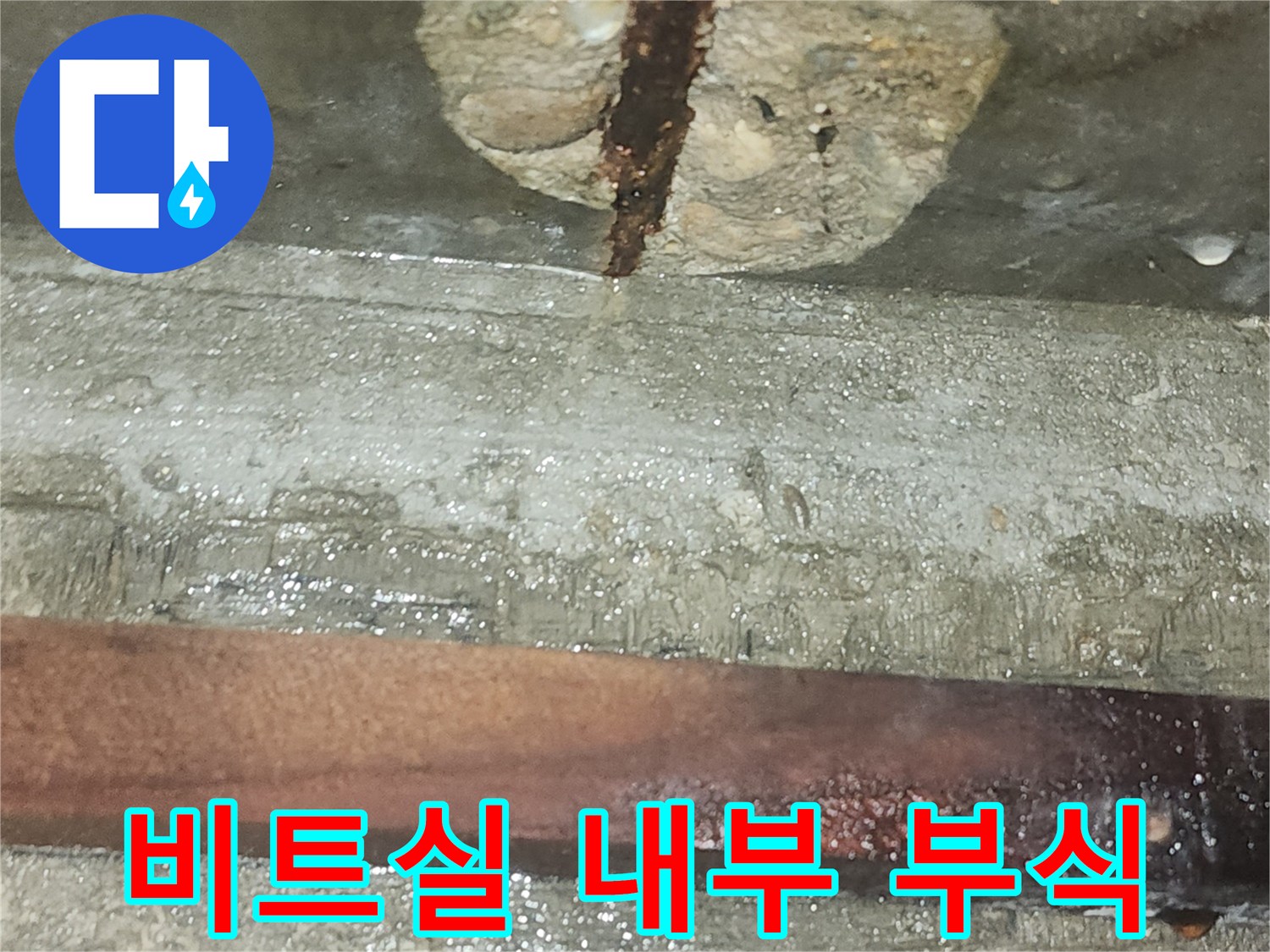 비트실-내부-철근-부식-및-벽면-습기 상태