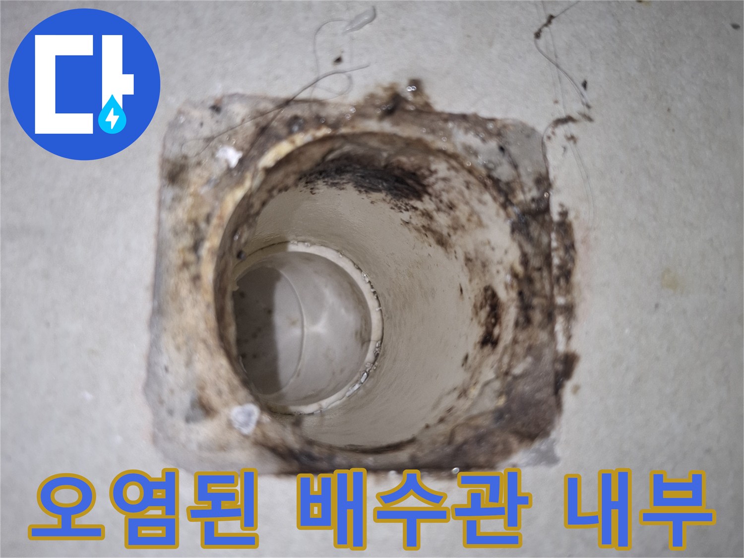 하수관-입구-주변의-찌꺼기-및-오염물