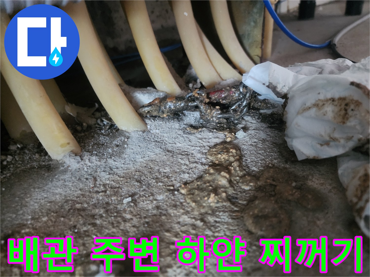 싱크대-배관-틈새에-쌓인-하얀색-슬러지