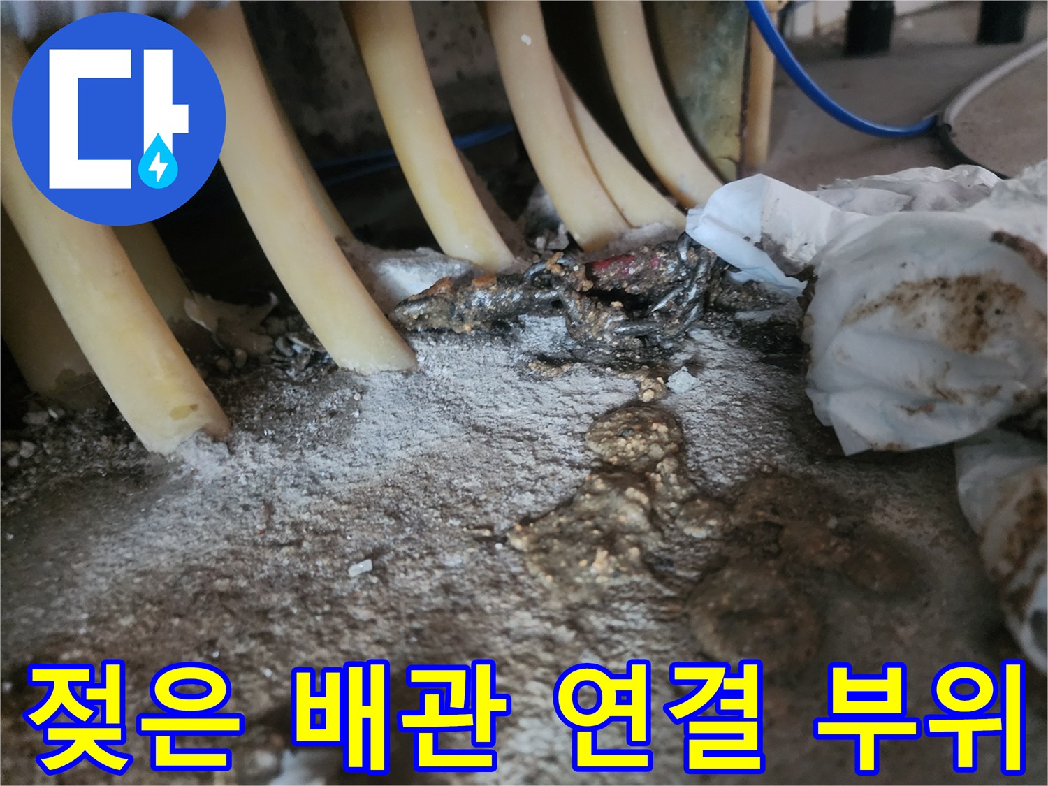 싱크대-하부-배관-틈새의-습기와-오염물질
