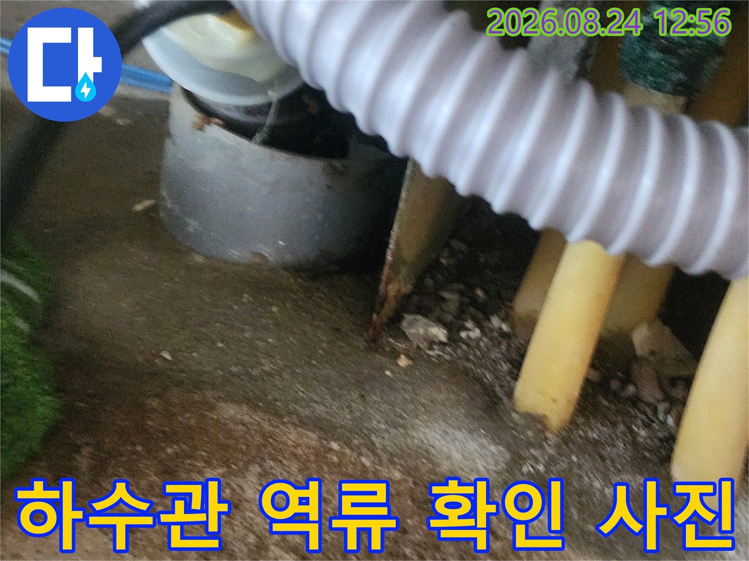 하수관 입구 주변에 고인 물과 배관 연결 부위의 역류 현상을 보여줍니다.