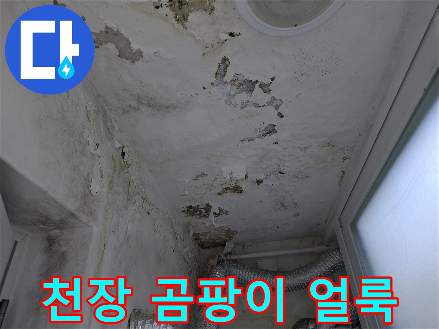 누수 발생으로 인해 변색된 천장의 곰팡이 흔적