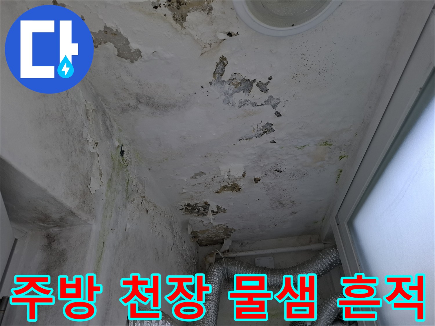 물샘 현상으로 변색된 천장 마감재와 곰팡이 상태