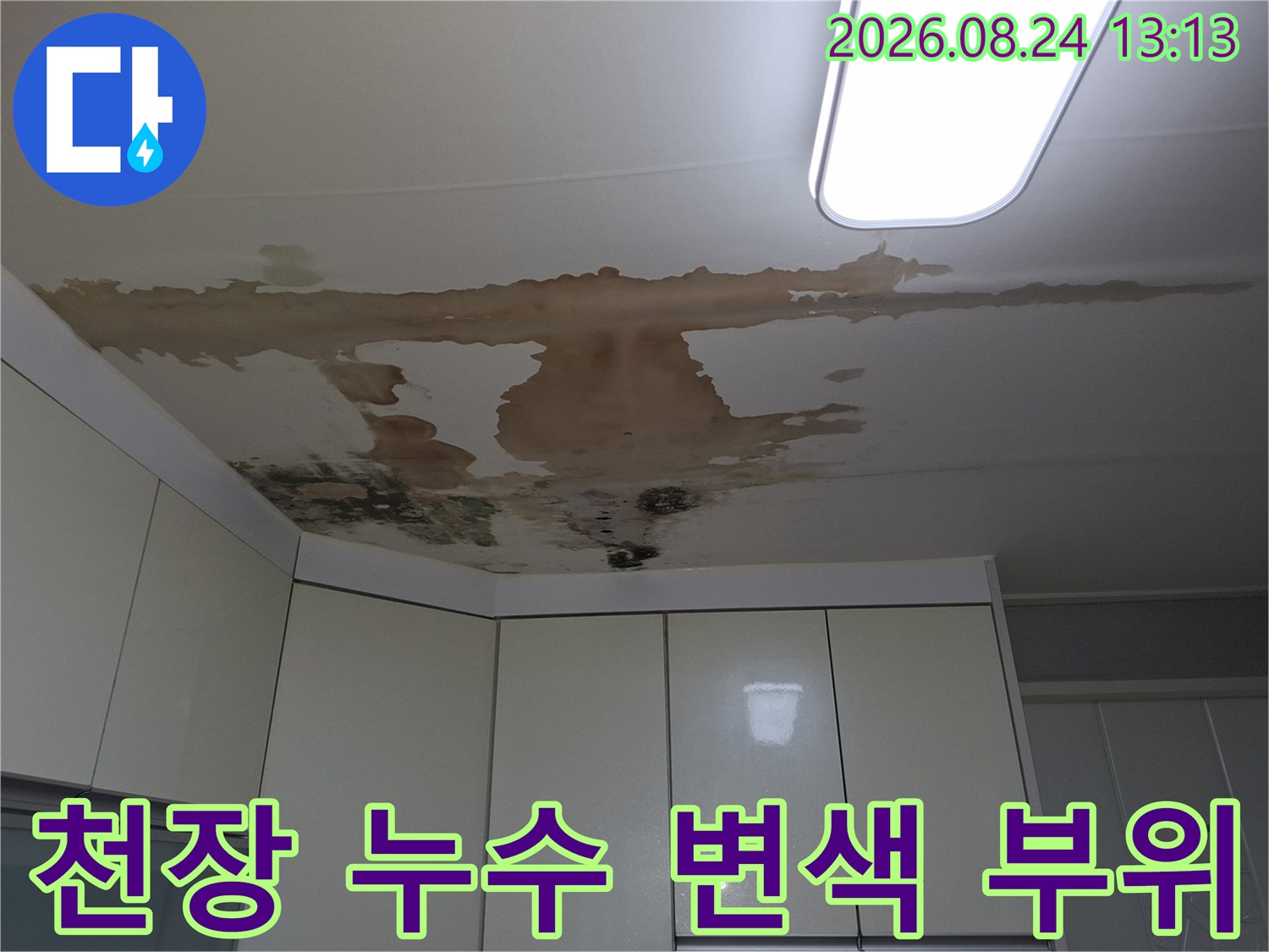 주방 천장 마감재에 넓게 퍼진 갈색 누수 얼룩과 곰팡이