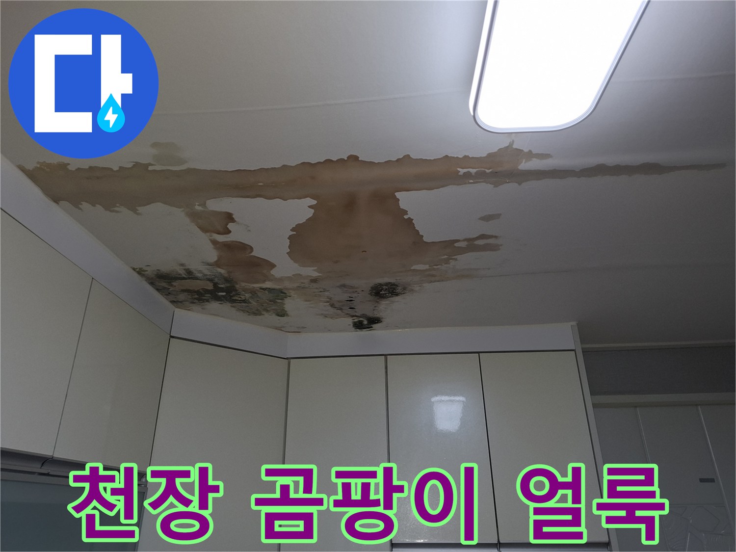 주방 천장 마감재에 발생한 심각한 습기와 오염 상태 - 누수 진단 과정