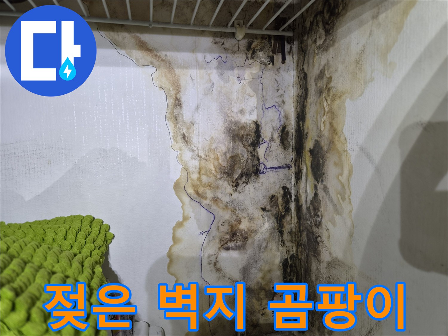 벽면을 타고 번진 - 누수 흔적과 곰팡이 발생 부위입니다