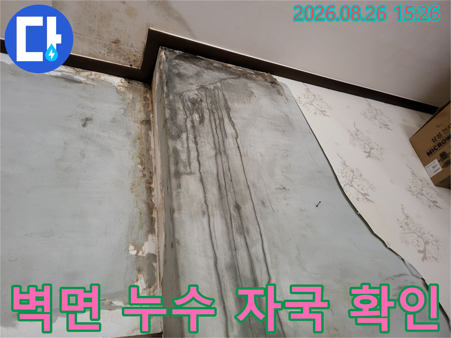 보령 남포면-물자국과 곰팡이가 나타난 벽지 내부