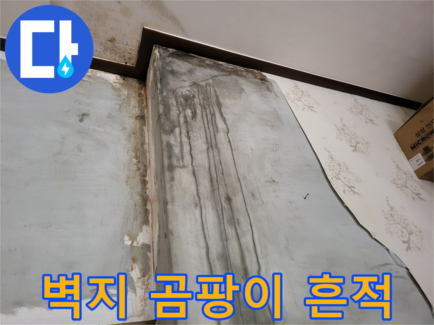 보령 남포면 현장의 벽지 곰팡이와 물자국 상태