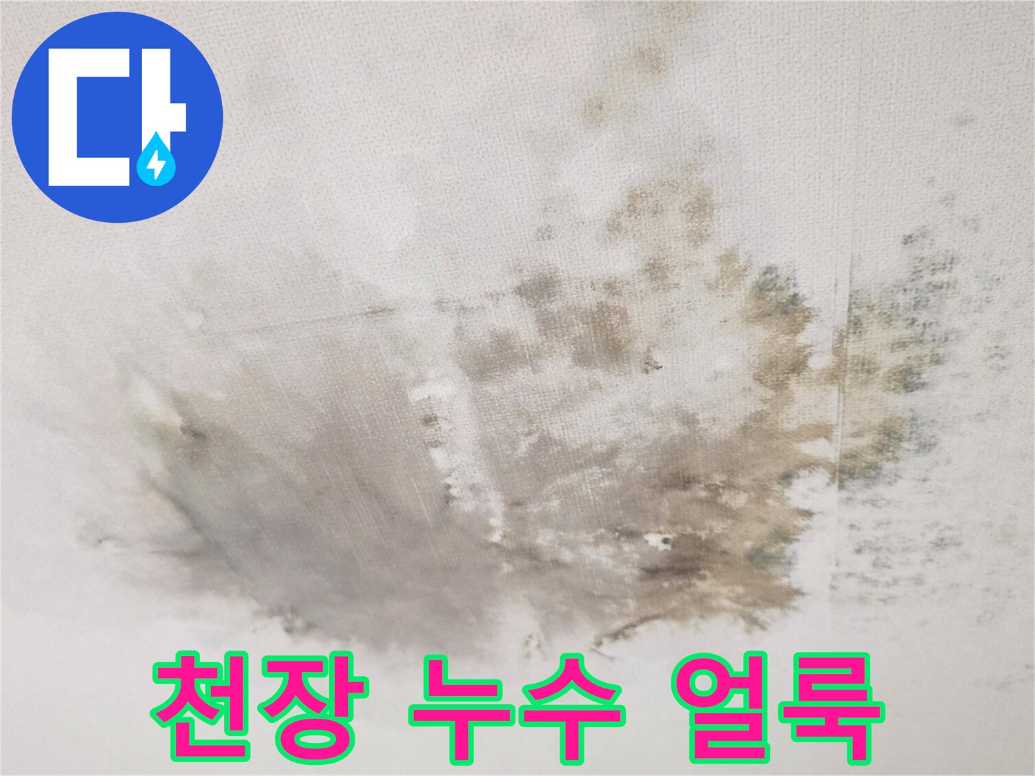 거실 천장의 광범위한 물얼룩과 곰팡이 흔적