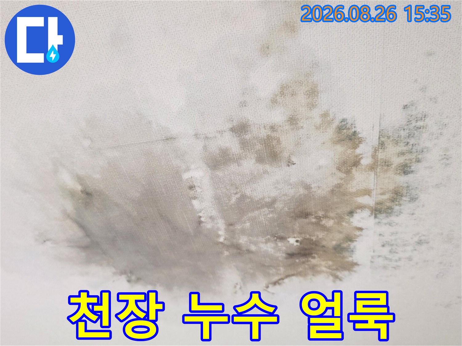 경기 광주시 송정동 빌라의 천장 물샘으로 인한 곰팡이와 얼룩 현황