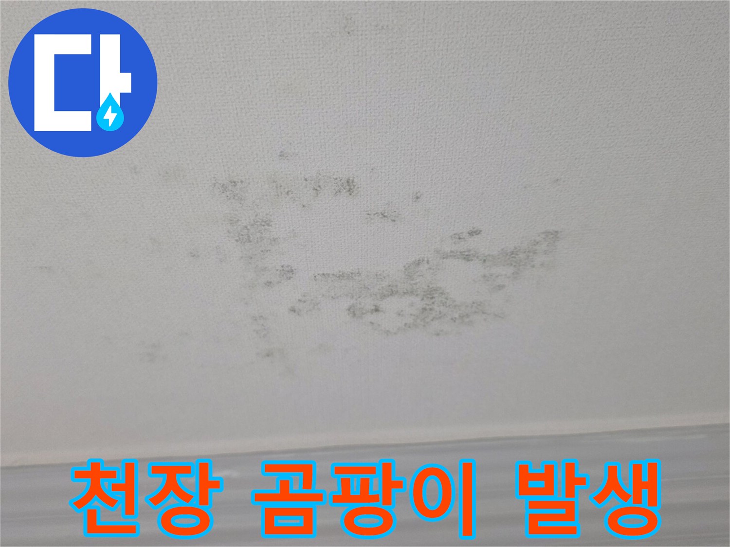 곰팡이가 번져 있는 거실 천장 마감재 사진